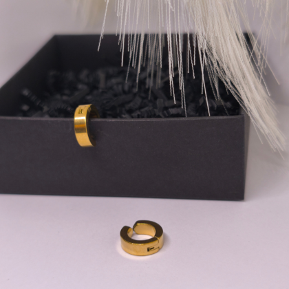 Klipsai „Auksinė linija“