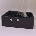 Magnetiniai auskarai „Plieno taškas“ Magnetiniai auskarai „Plieno taškas“