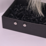 Magnetiniai auskarai „Plieno taškas“ Magnetiniai auskarai „Plieno taškas“