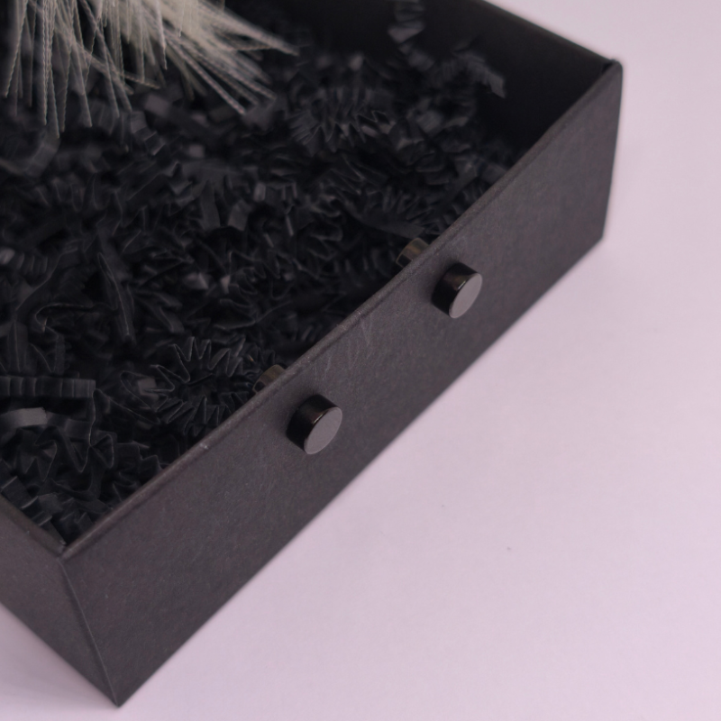 Magnetiniai auskarai „Juodoji tyla“