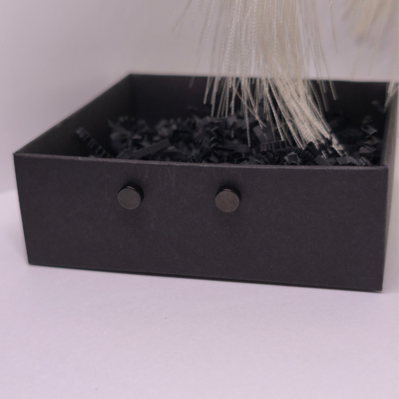 Magnetiniai auskarai „Juodoji tyla“