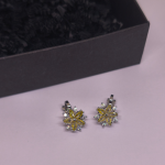 Auskarai - klipsai „Saulėta elegancija“