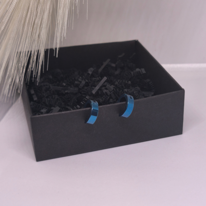 Klipsai „Plieno mėlis“