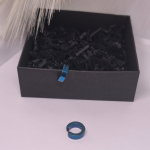 Klipsai „Plieno mėlis“