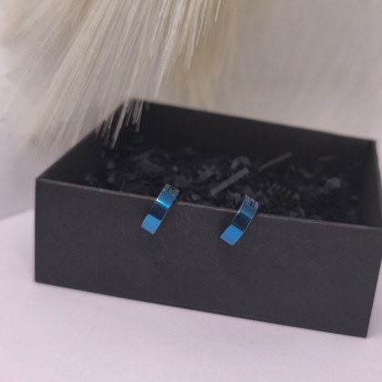 Klipsai „Plieno mėlis“