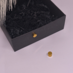 Magnetiniai auskarai „Auksinis taškas“