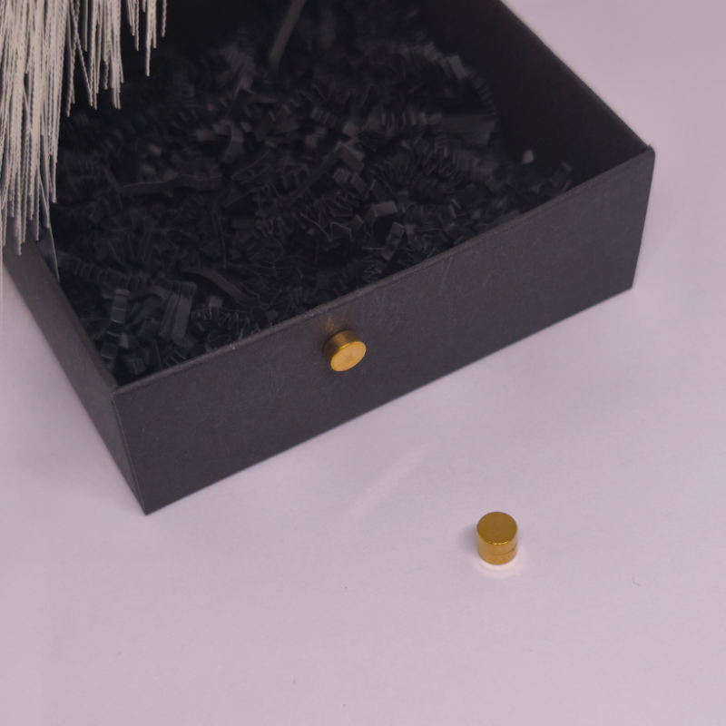 Magnetiniai auskarai „Auksinis taškas“