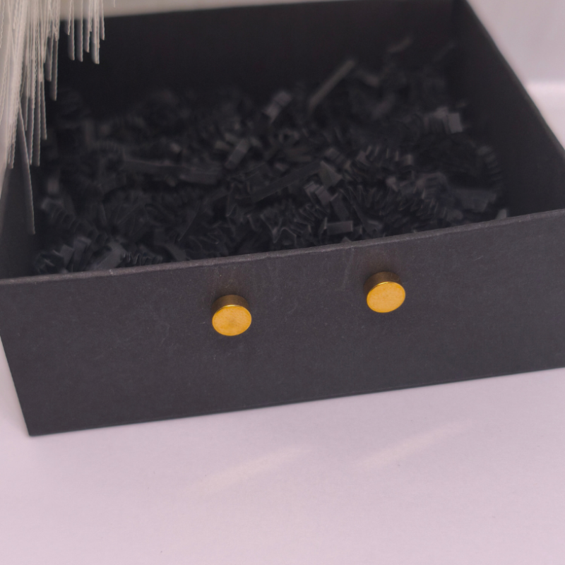 Magnetiniai auskarai „Auksinis taškas“