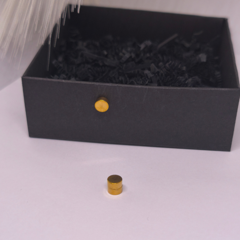 Magnetiniai auskarai „Auksinis taškas“