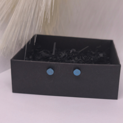 Magnetiniai auskarai „Tylus mėlis“