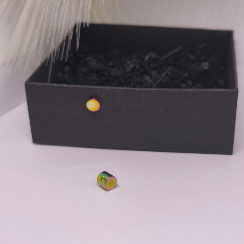 Magnetiniai auskarai „Holografinė tyla“