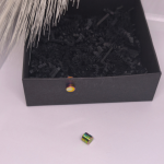 Magnetiniai auskarai „Holografinė tyla“