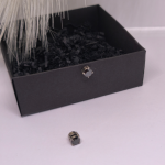 Juodi magnetiniai auskarai