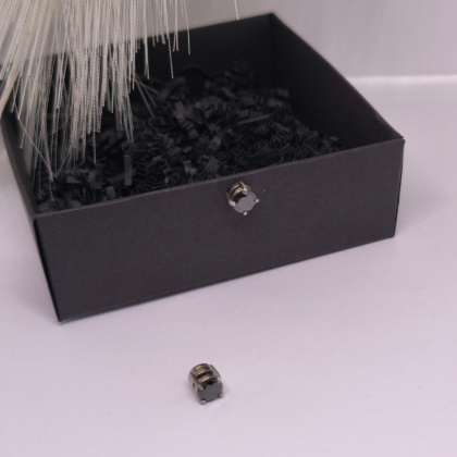 Juodi magnetiniai auskarai