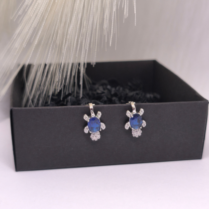 Auskarai – klipsai „Vandenyno sargas“